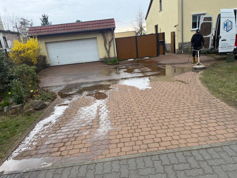 WhatsApp Image 2026-04-03 at 11.03.32