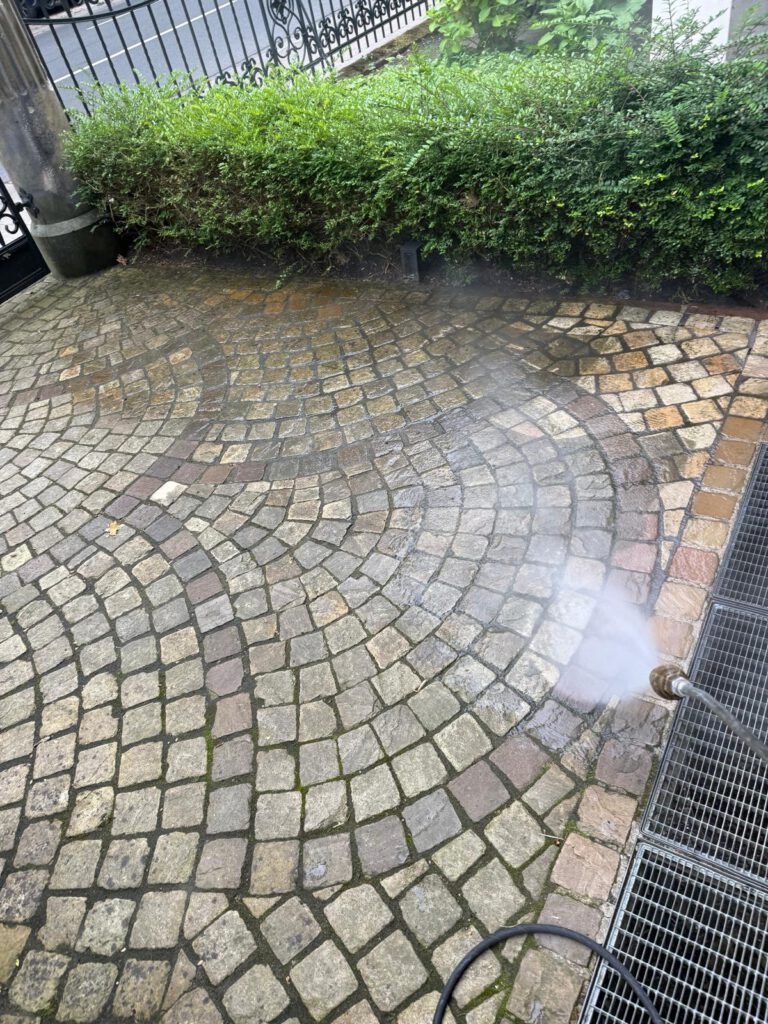 WhatsApp Image 2026-04-03 at 11.13.09