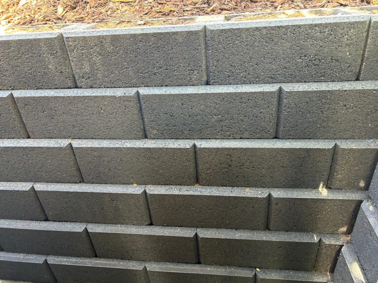 WhatsApp Image 2026-04-03 at 11.25.20